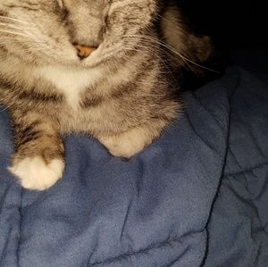 Meet your Posher, Mike